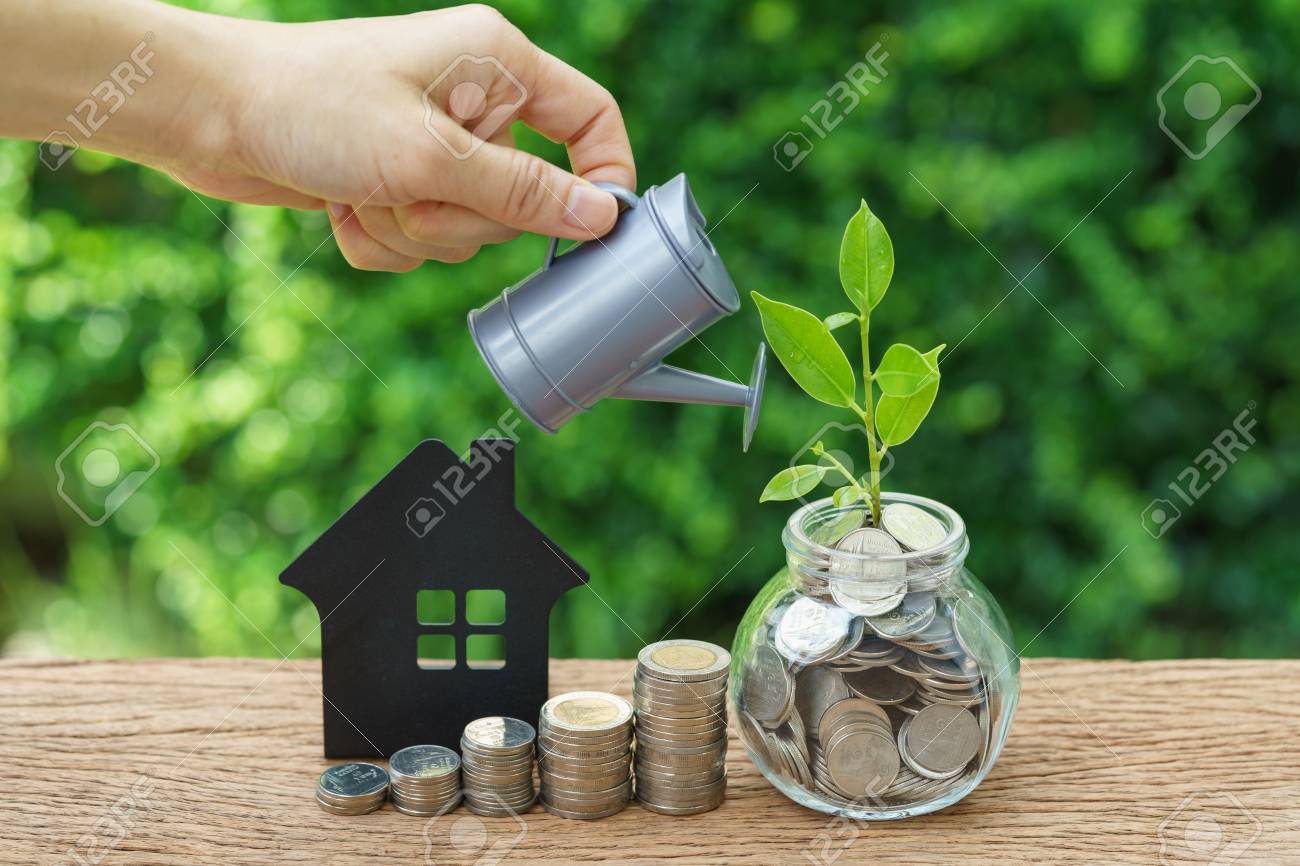 동전, 종이 집 및 성장 새싹 손 비즈니스 금융으로 물을 급증 또는 투자 개념을 성장. 로열티 무료 사진, 그림, 이미지 그리고  스톡포토그래피. Image 85068697