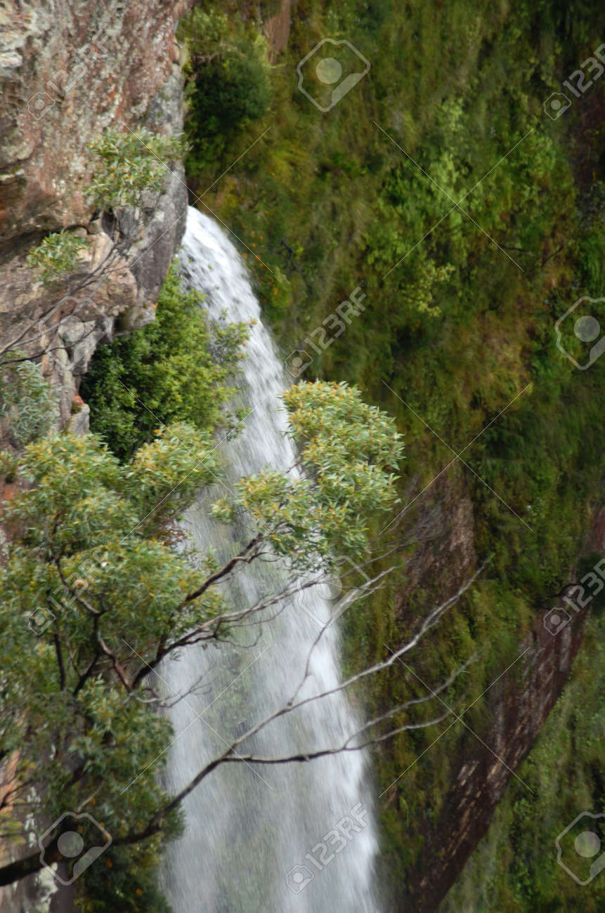A waterfall in the Blue Mountains, Australia. It is white against the surrounded green eucalyptus trees and scrub. The cliffs are of sandstone. - 152723803 A waterfall in the Blue Mountains, Australia. It is white against the surrounded green eucalyptus trees and scrub. The cliffs are of sandstone. - 152723803