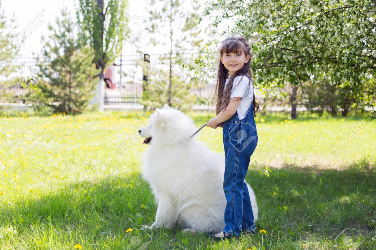 beautiful white dog