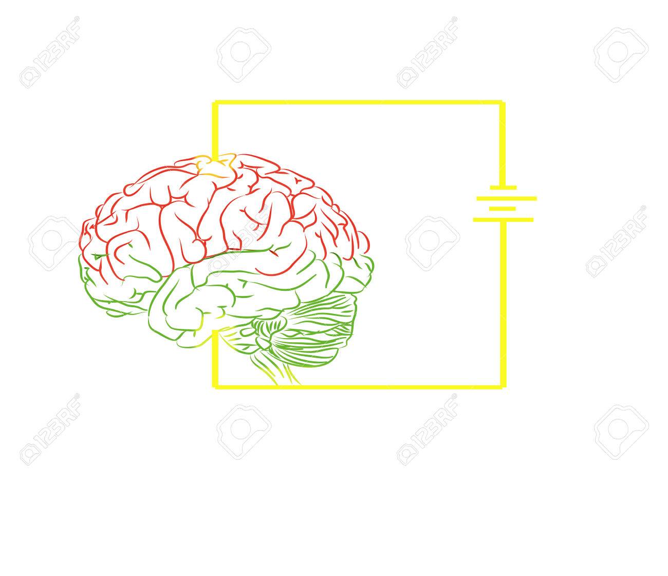無料脳 の写真素材 画像素材 Image