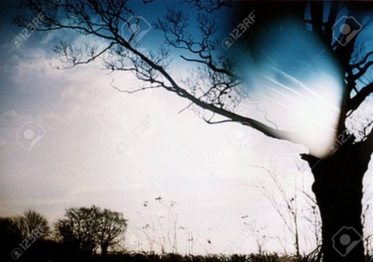 tree of souls is part of the hidden spirit work and is a one stock