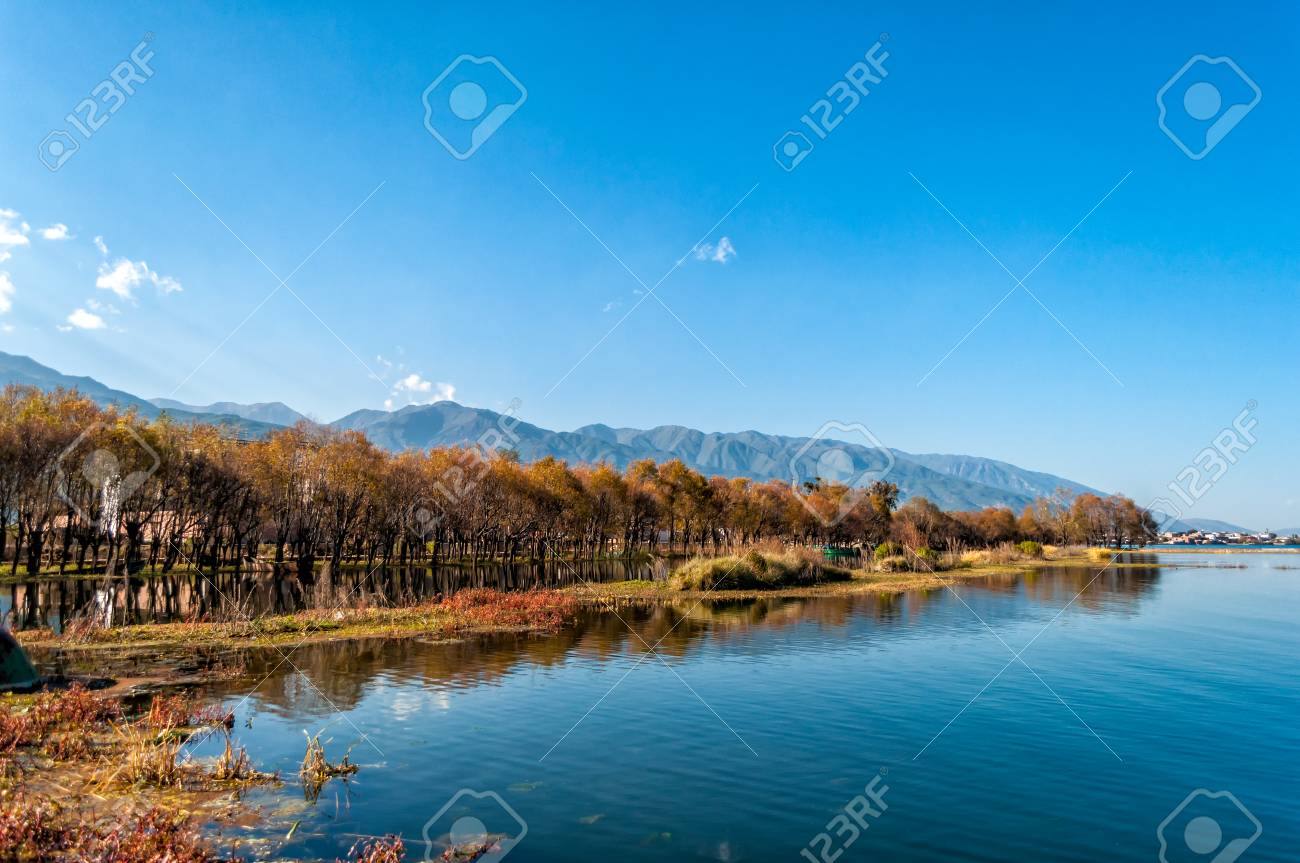 etiam-dictum-ipsum-a-felis