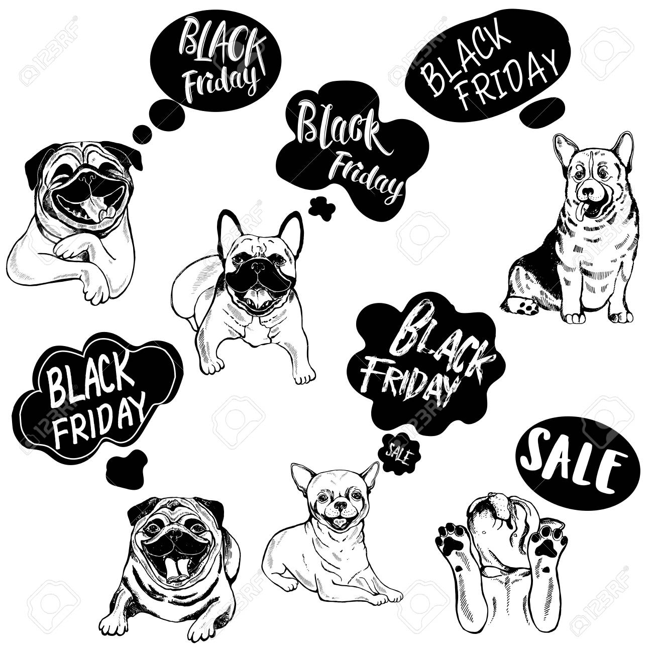 black friday dog