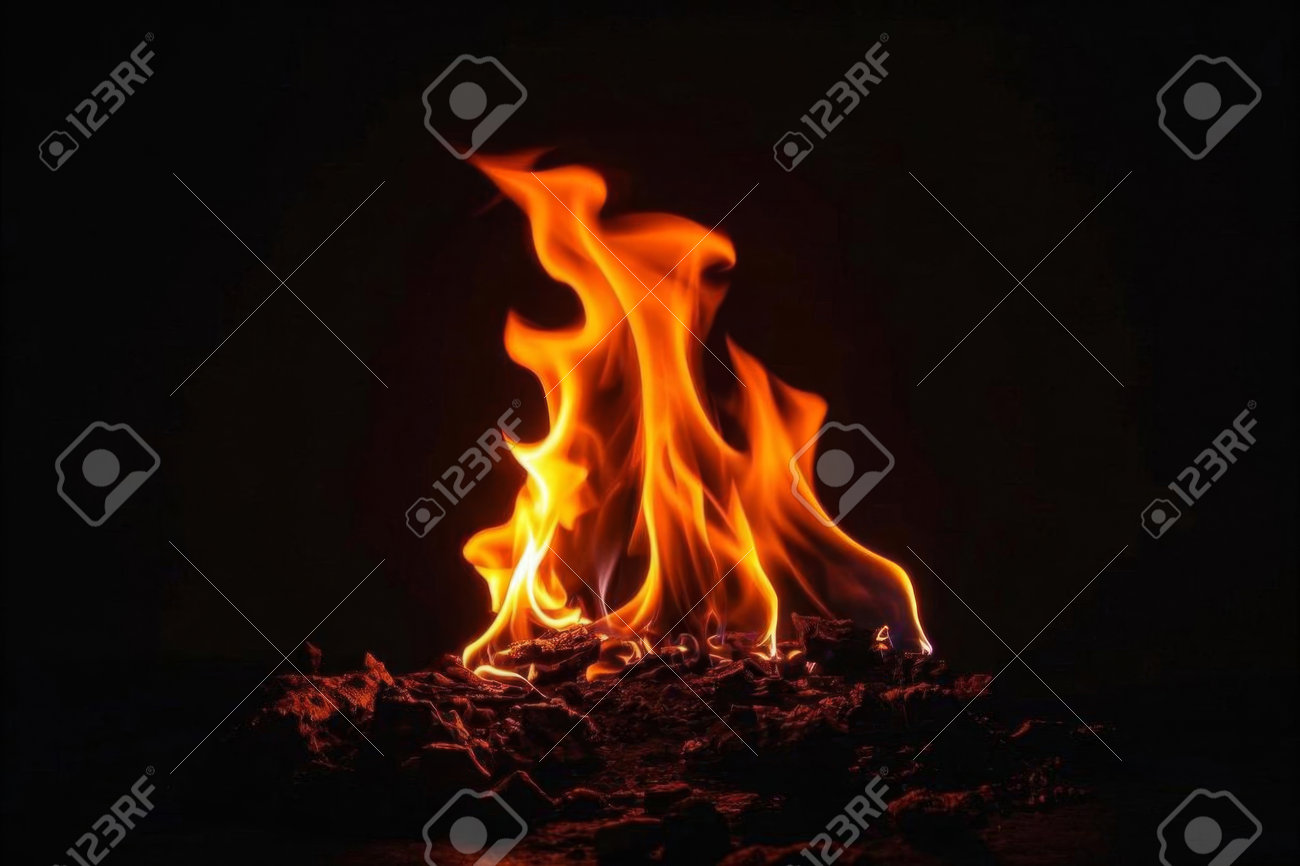 etiam-dictum-ipsum-a-felis