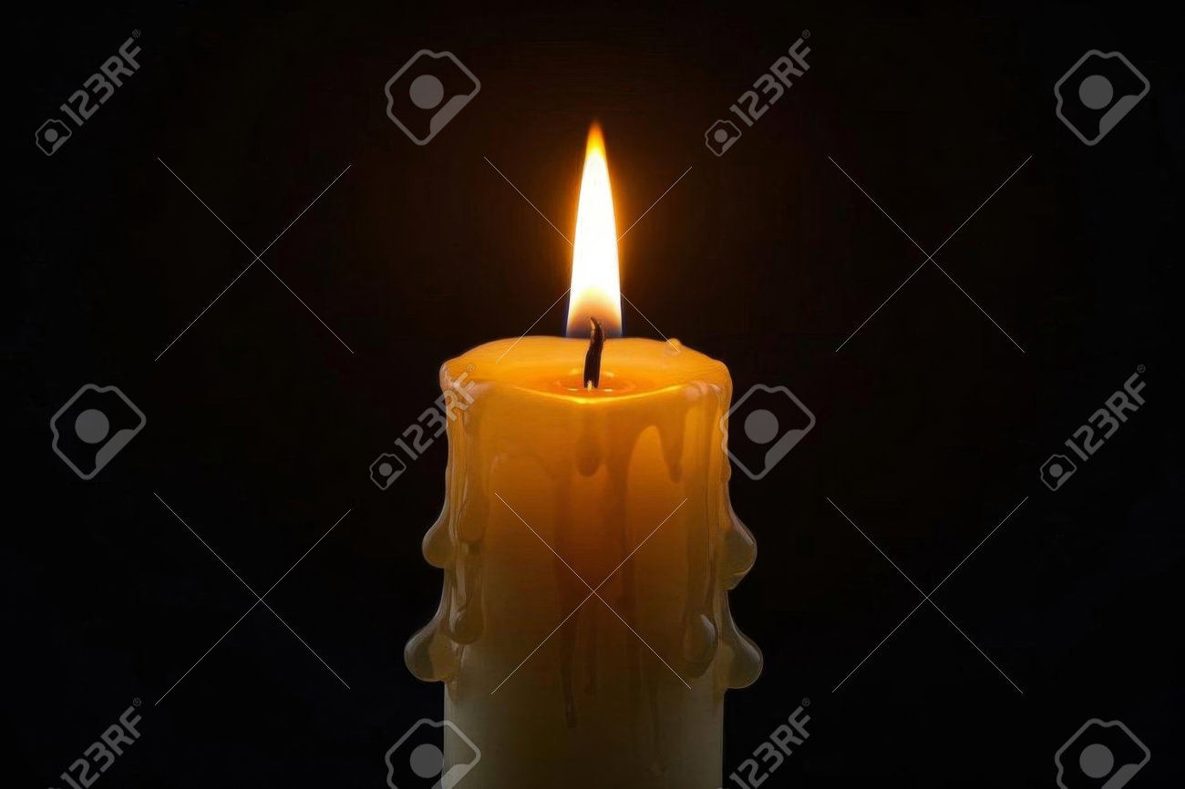 etiam-dictum-ipsum-a-felis