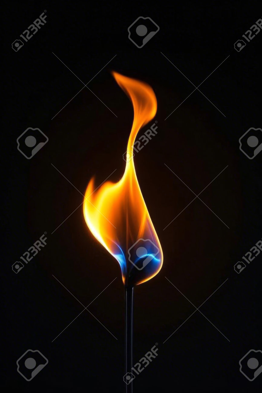 etiam-dictum-ipsum-a-felis