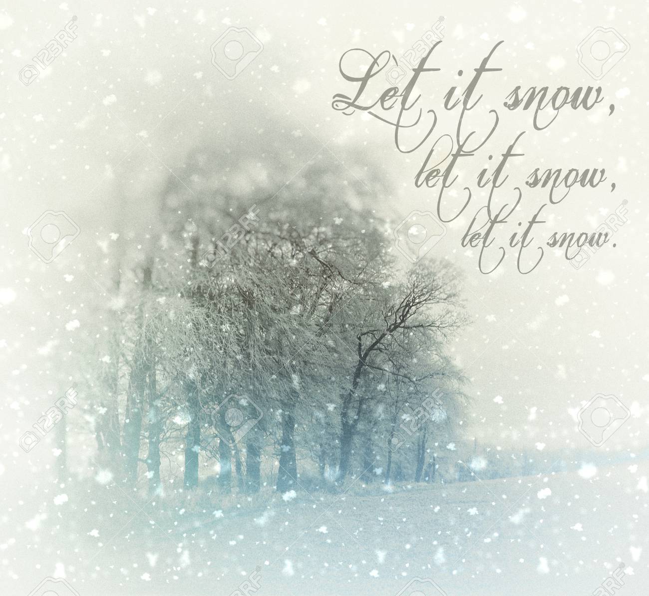 ブナの木と雪の冬の風景とクリスマスカード 言葉はそれを雪にしてみましょう 雪をしてみましょう 雪をしてみましょう ビネットぼかし 黄色と青の色合い の写真素材 画像素材 Image 9056