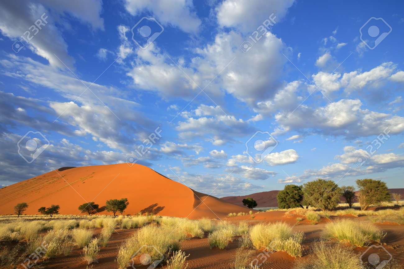 Landschaft Mit Wuste Graser Grosse Sanddune Und Himmel Mit Wolken Sossusvlei Namibia Sud Afrika Lizenzfreie Fotos Bilder Und Stock Fotografie Image Landschaft Mit Wuste Graser Grosse Sanddune Und Himmel Mit Wolken Sossusvlei Namibia Sud Afrika Lizenzfreie Fotos Bilder Und Stock Fotografie Image