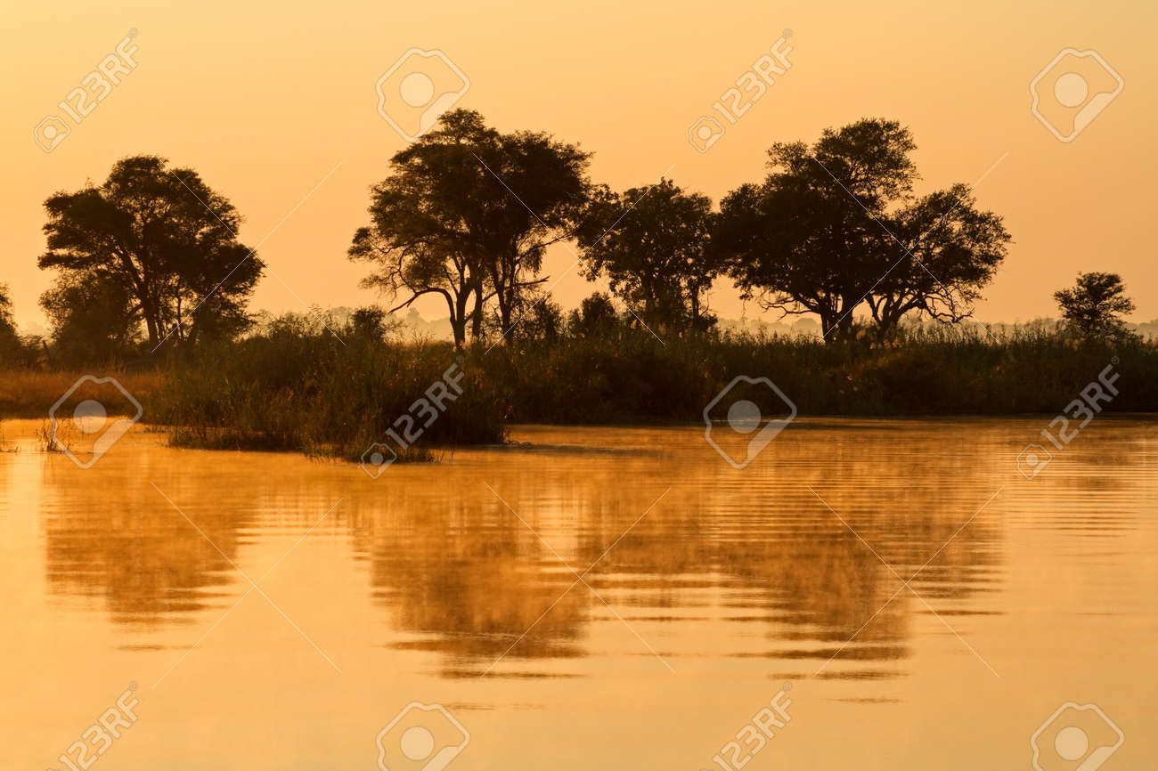 Afrikanische Landschaft Mit Baumen Die In Wasser Bei Sonnenaufgang Kwando Namibia Lizenzfreie Fotos Bilder Und Stock Fotografie Image