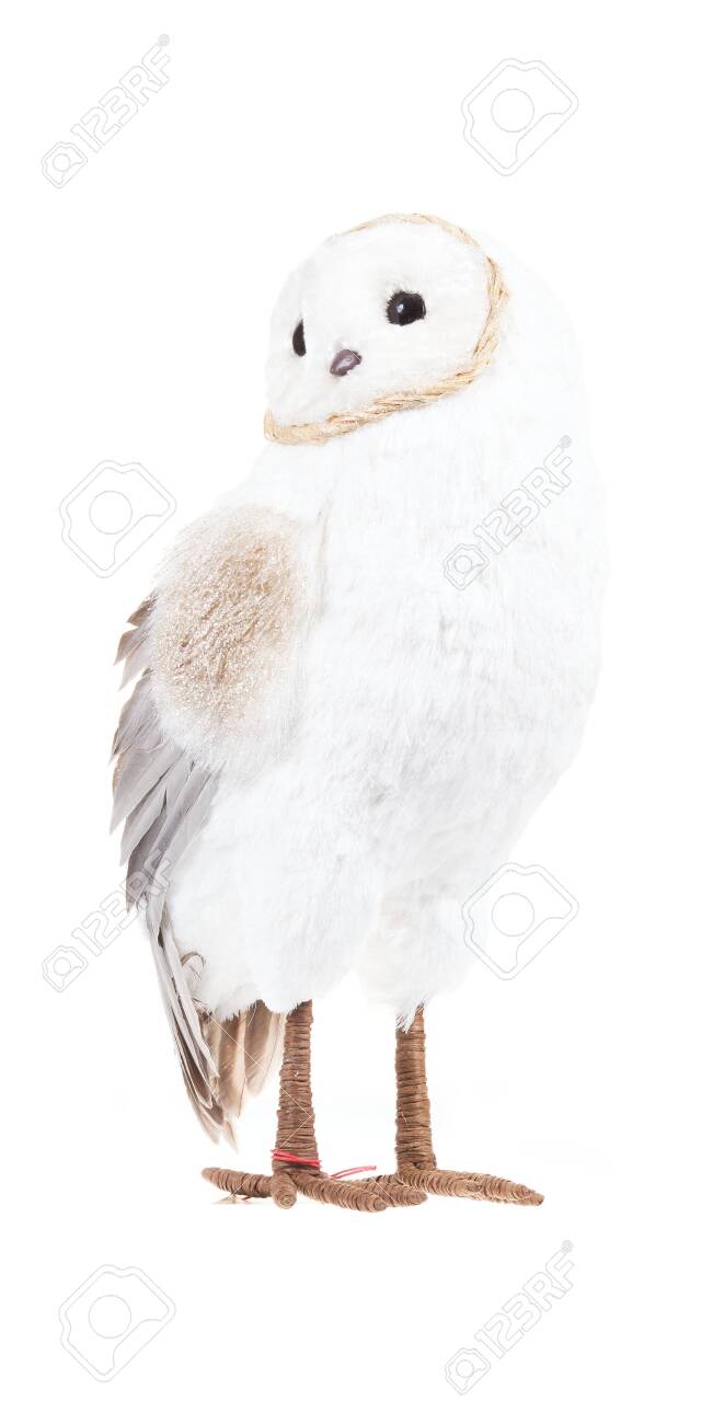 soft owl
