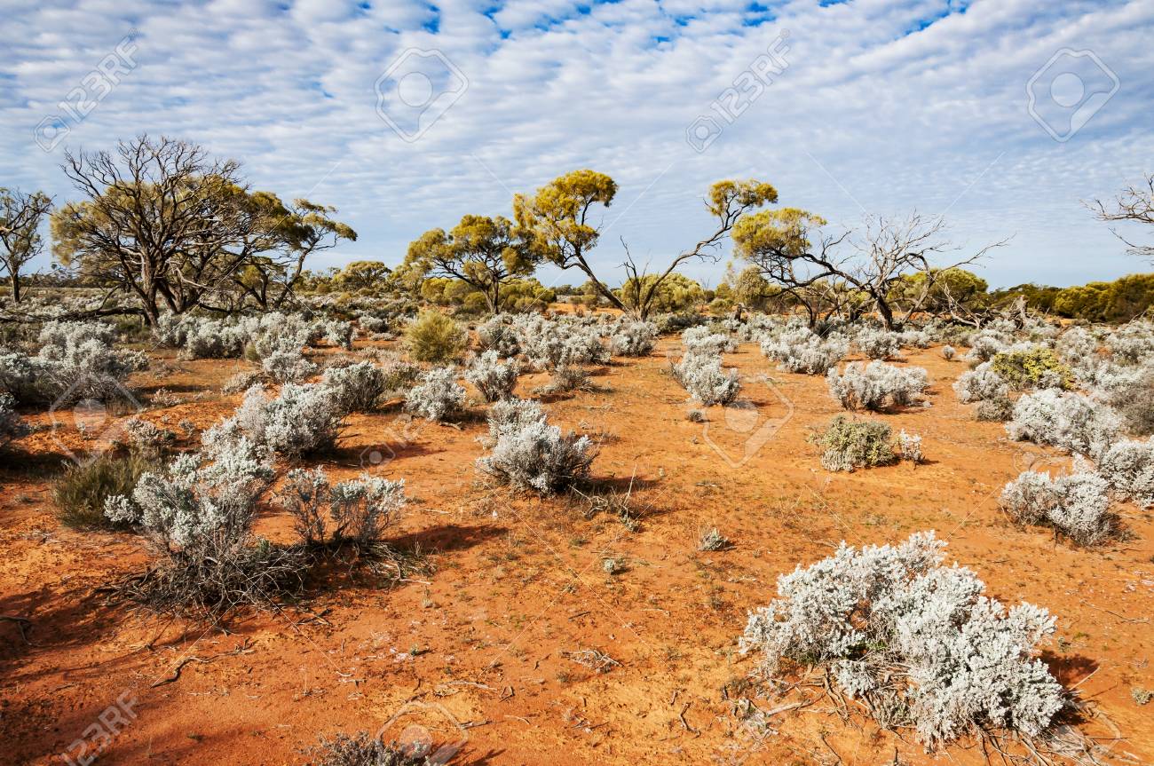 The Red In Desert, The Outback In Northern Territory Stock Picture And Royalty Free Image. Image 97569680.