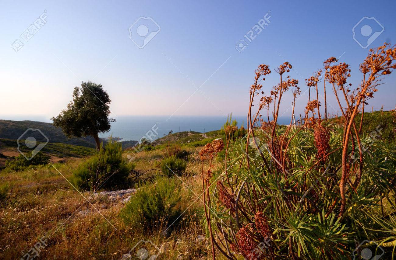 Il Gargano Week End In Puglia Speciale Weekend