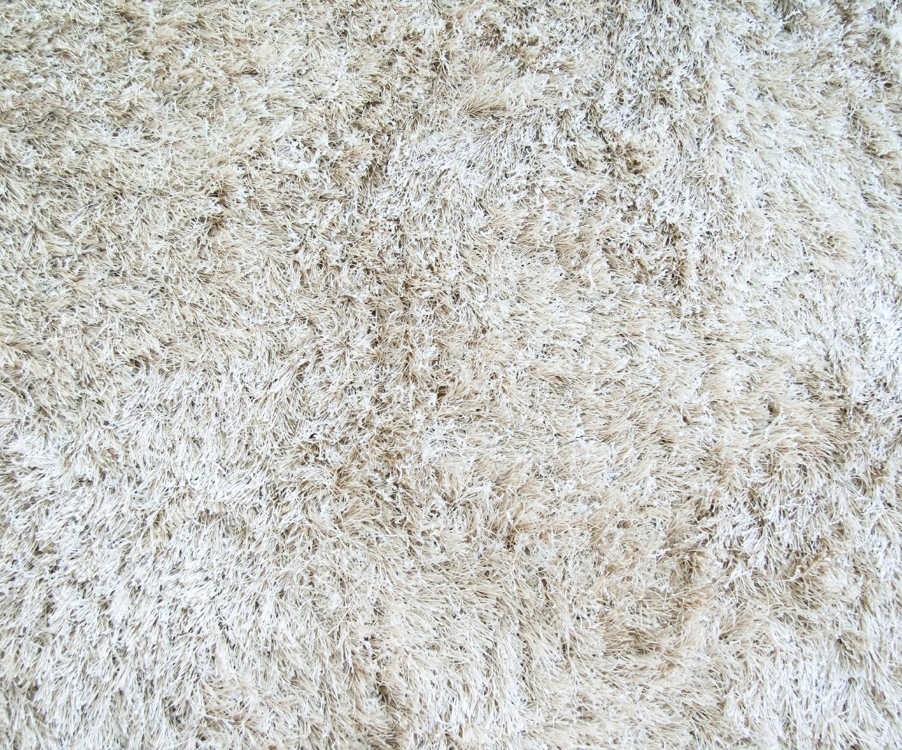 ロングパイルを持つ白のカーペットのテクスチャ の写真素材 画像素材 Image