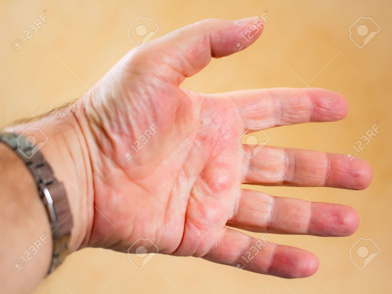 etiam-dictum-ipsum-a-felis