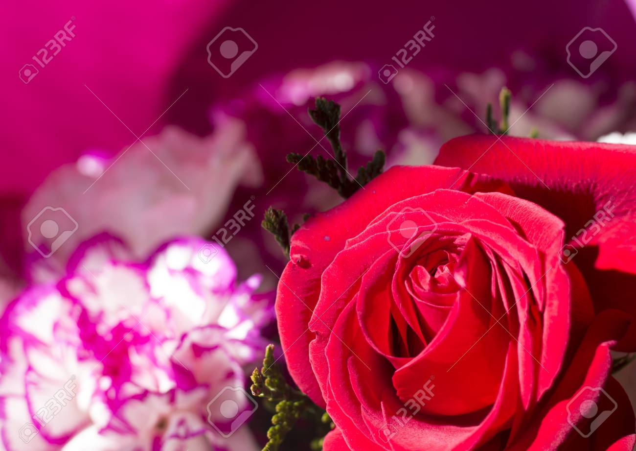 Ourson Rose Artificielle Rose 40 Cm