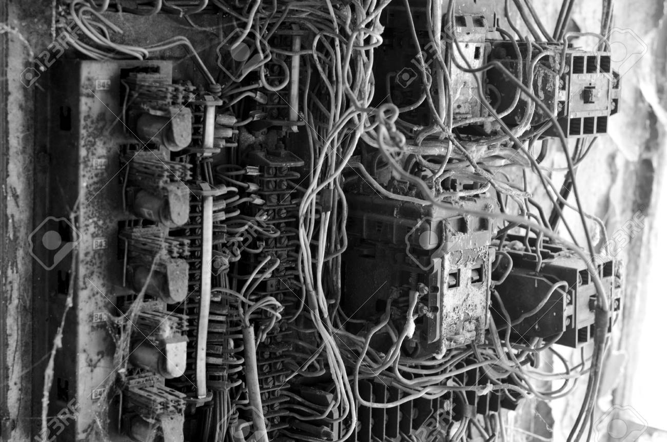 etiam-dictum-ipsum-a-felis