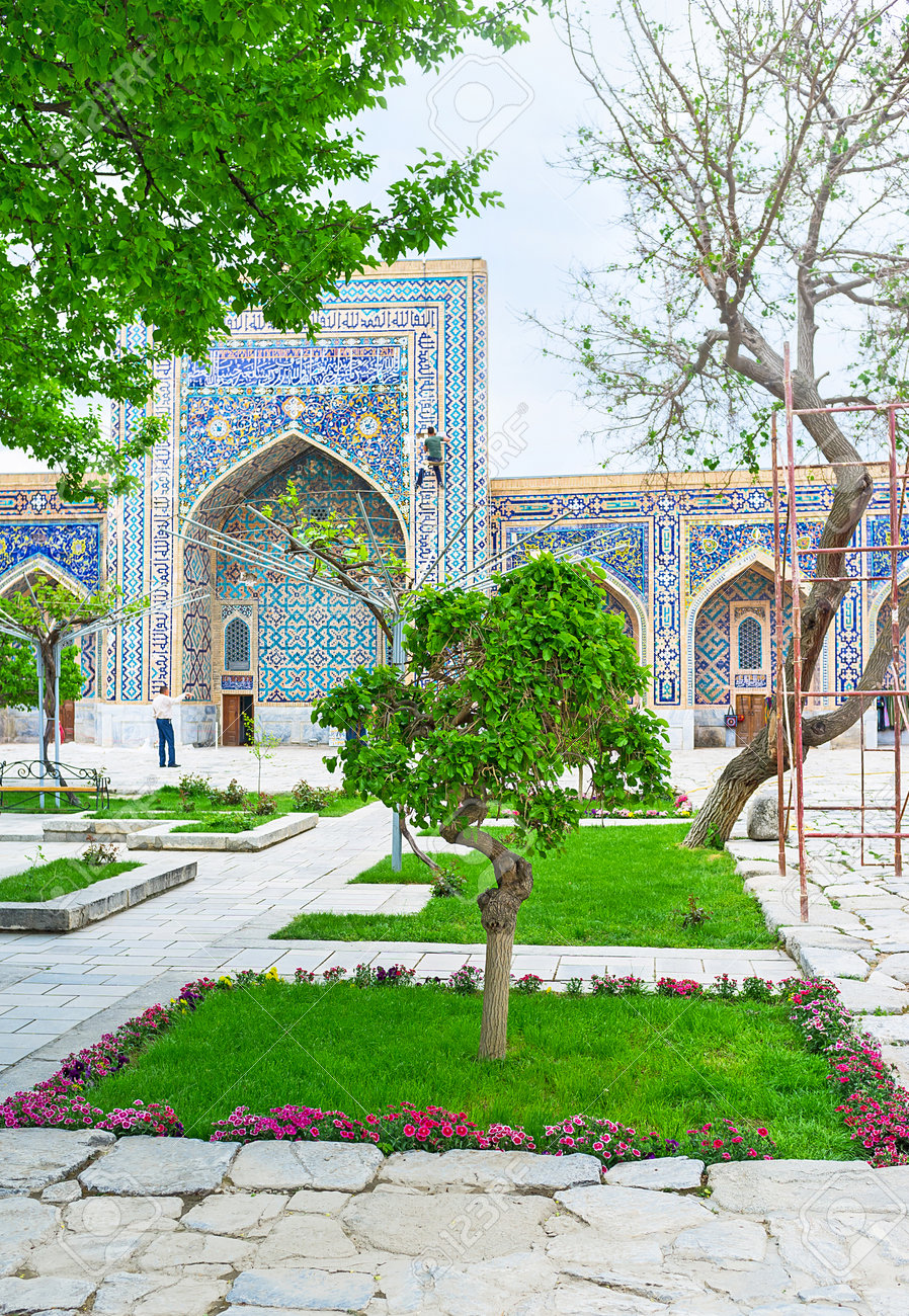 Tilya コリ神学校 サマルカンド ウズベキスタンの中庭の花壇の真ん中に小さな泣く木 の写真素材 画像素材 Image