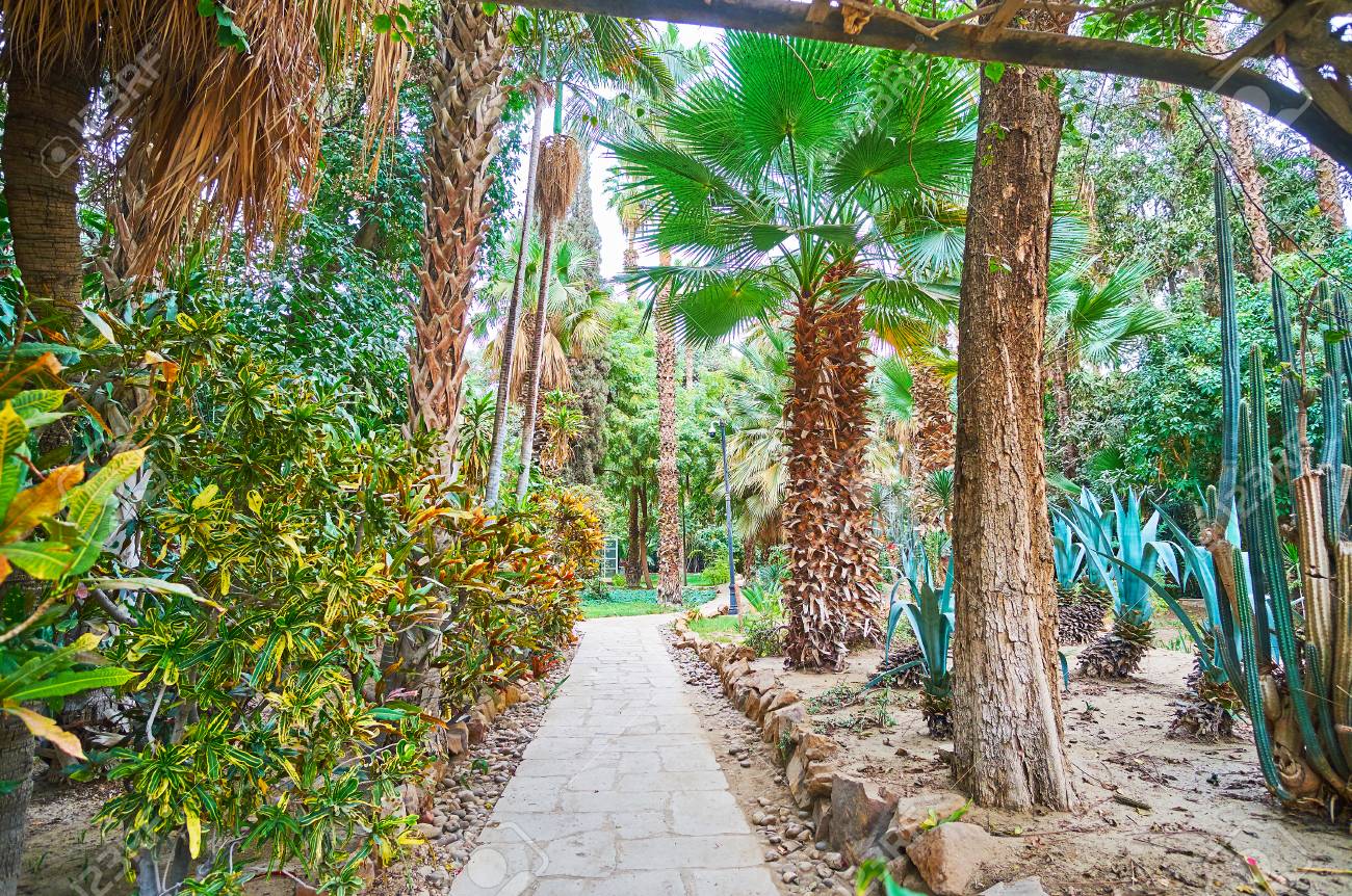 The English Garden Of Manial Palace Boasts Many Varieties Of Tropic Plants Including Palm Trees And Cactuses Rawdah Roda Island Cairo Egypt Stock Photo Picture And Royalty Free Image Image 101658021