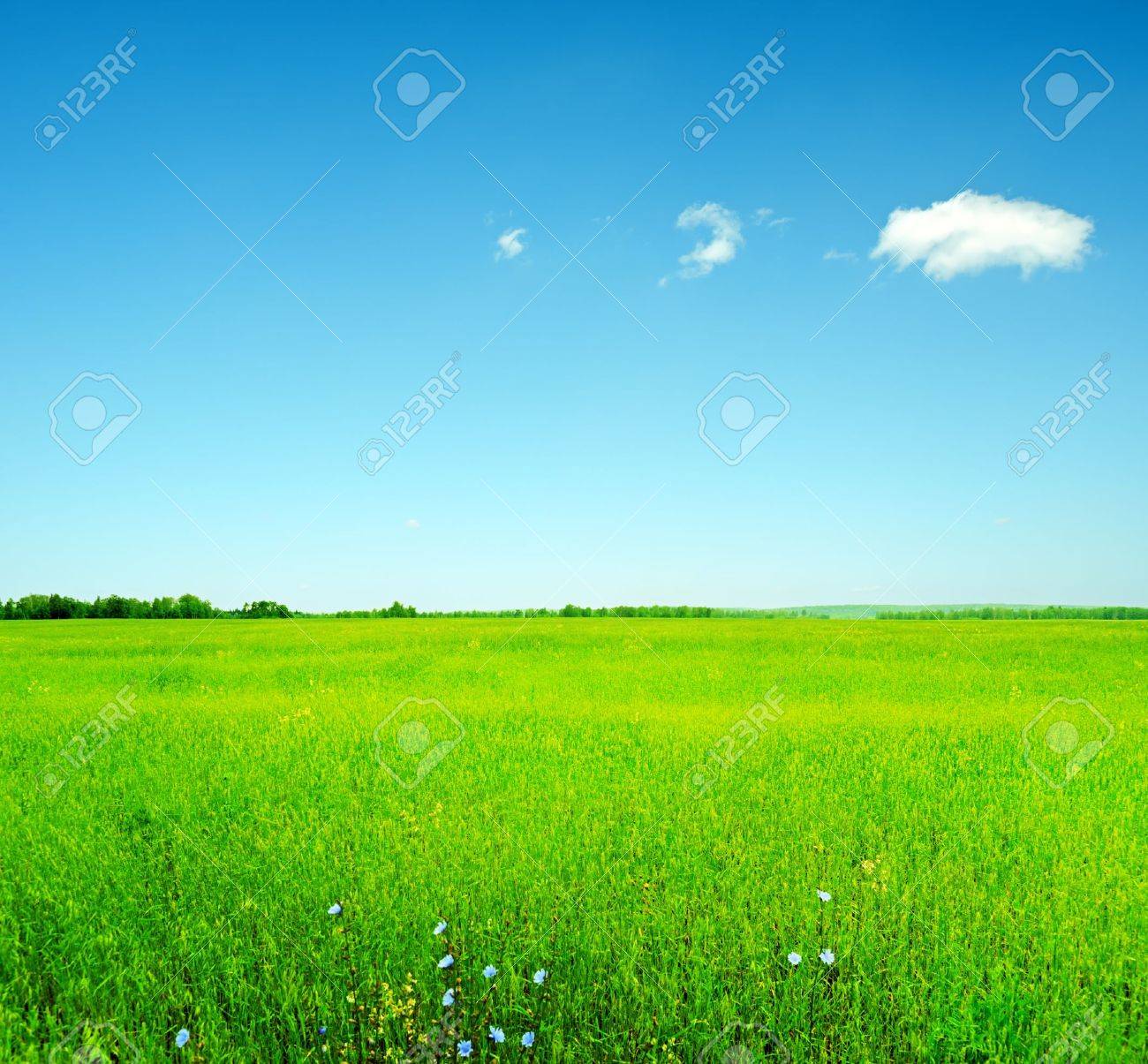 夏の風景 空と緑の芝生 の写真素材 画像素材 Image 夏の風景 空と緑の芝生 の写真素材 画像素材 Image