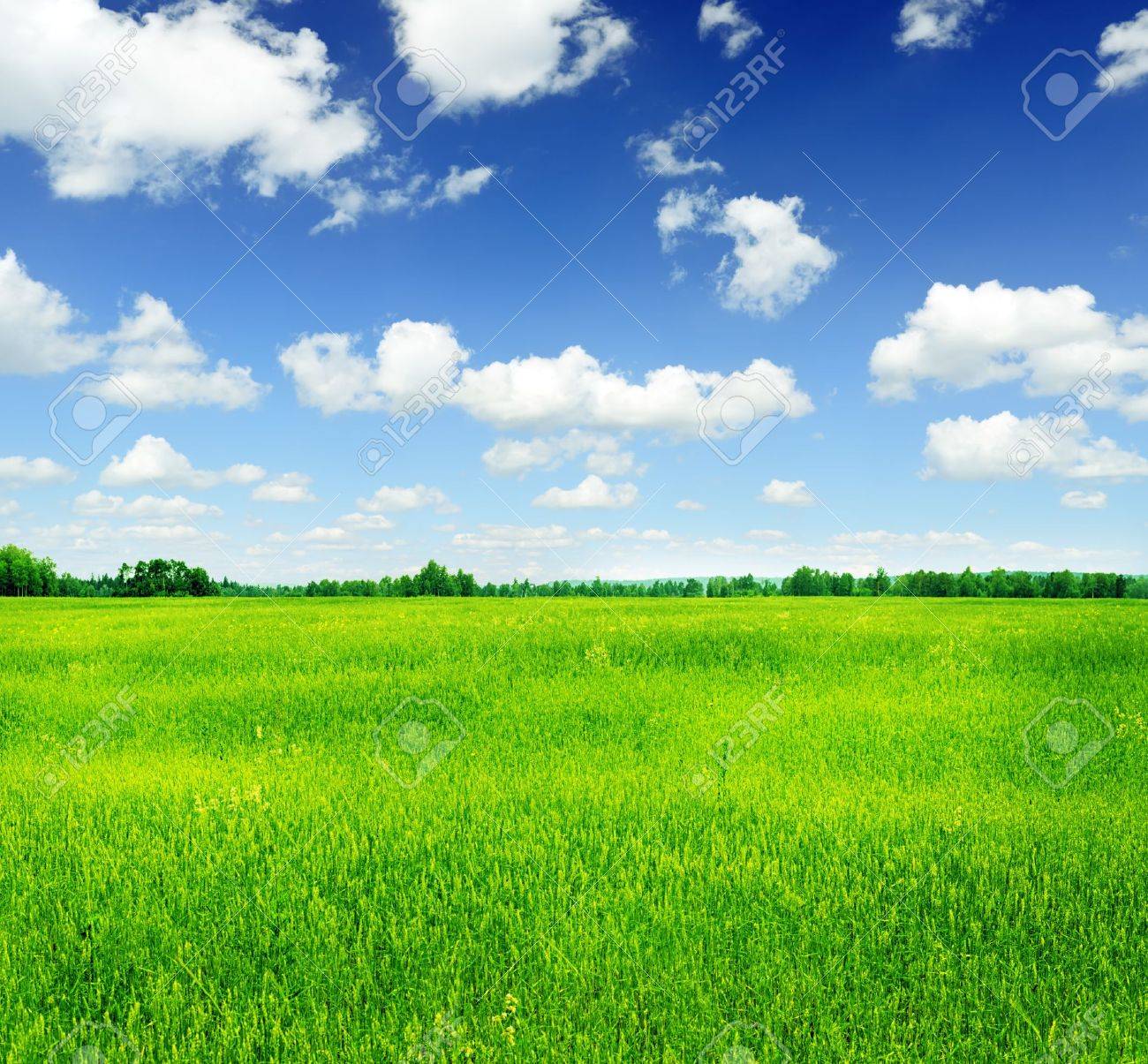 風景画 青空と緑の風景27✖️24 風景画 青空と緑の風景27✖️24 風景画 青空と緑の