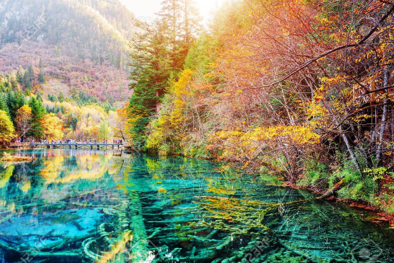 抽象的な自然風景写真 九寨溝自然保護区 (九寨溝渓谷国立公園)、中国での秋の森の中で五花池