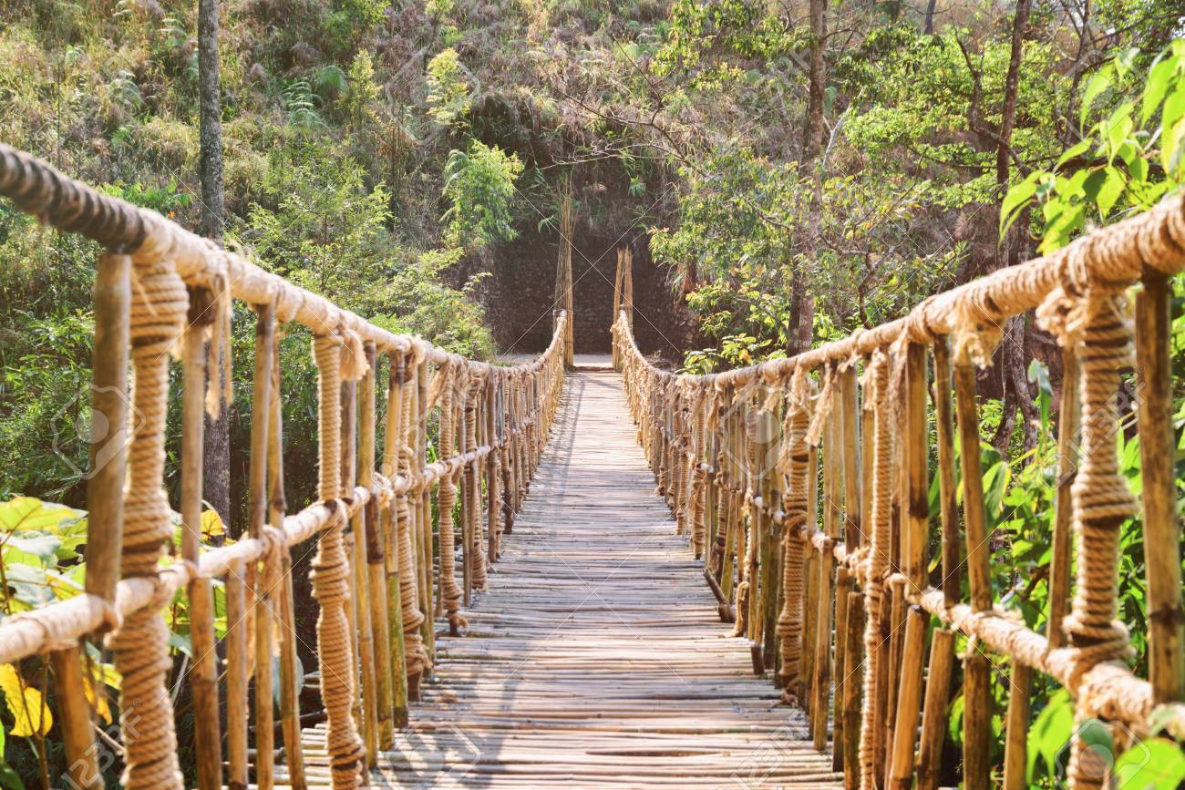 Amazing Simple Suspension Bridge Over Gorge Beautiful Footbridge Made From Rope And Bamboo Scenic Hanging Bridge Among Green Woods Stock Photo Picture And Royalty Free Image Image 75015402
