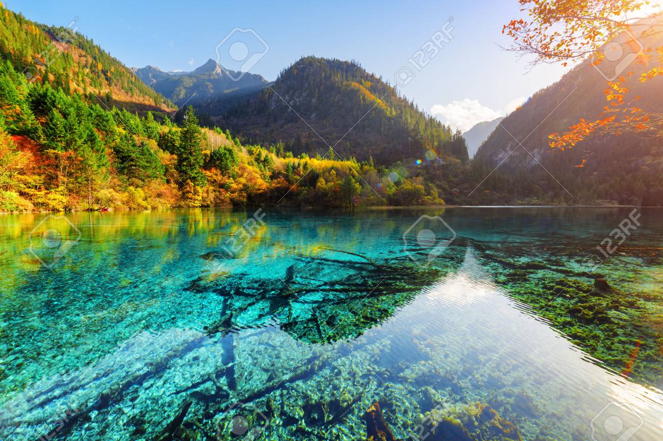 湖の美しい景色、5 花 (多色湖) の中で秋の森と中国九寨溝自然の山区し
