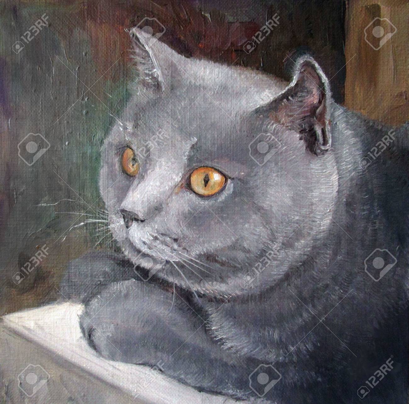 イギリスの Shorhair 猫の肖像画 オレンジ色の目でかわいい銀の国内猫 油絵 の写真素材 画像素材 Image イギリスの Shorhair 猫の肖像画 オレンジ色の目でかわいい銀の国内猫 油絵 の写真素材 画像素材 Image