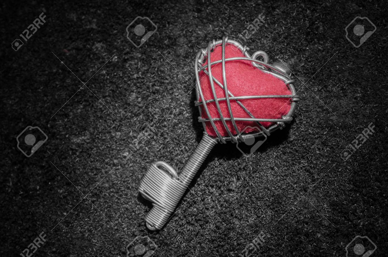 etiam-dictum-ipsum-a-felis