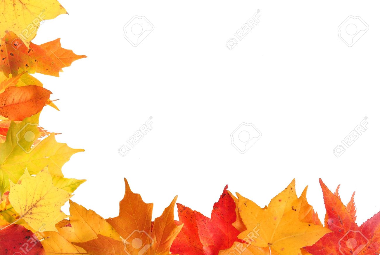 autumn leaf border design with orange and yellow leaves on a stock