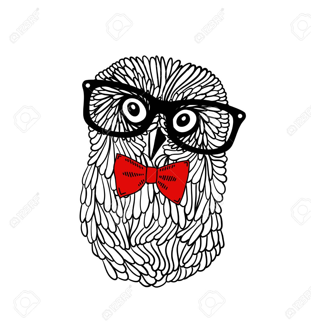 owl frame glasses