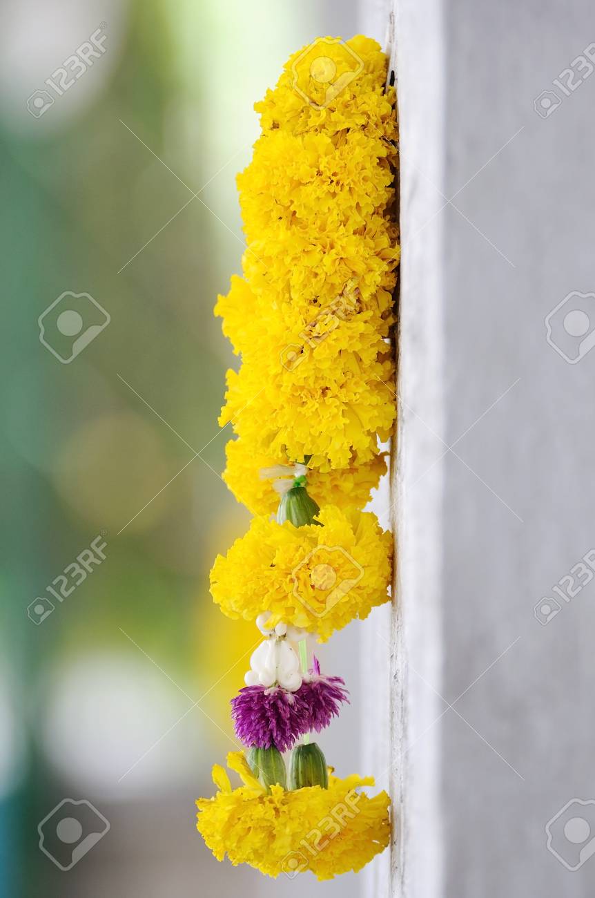 Hermosa Guirnalda De Calendula Amarilla Colgando En La Pared Con