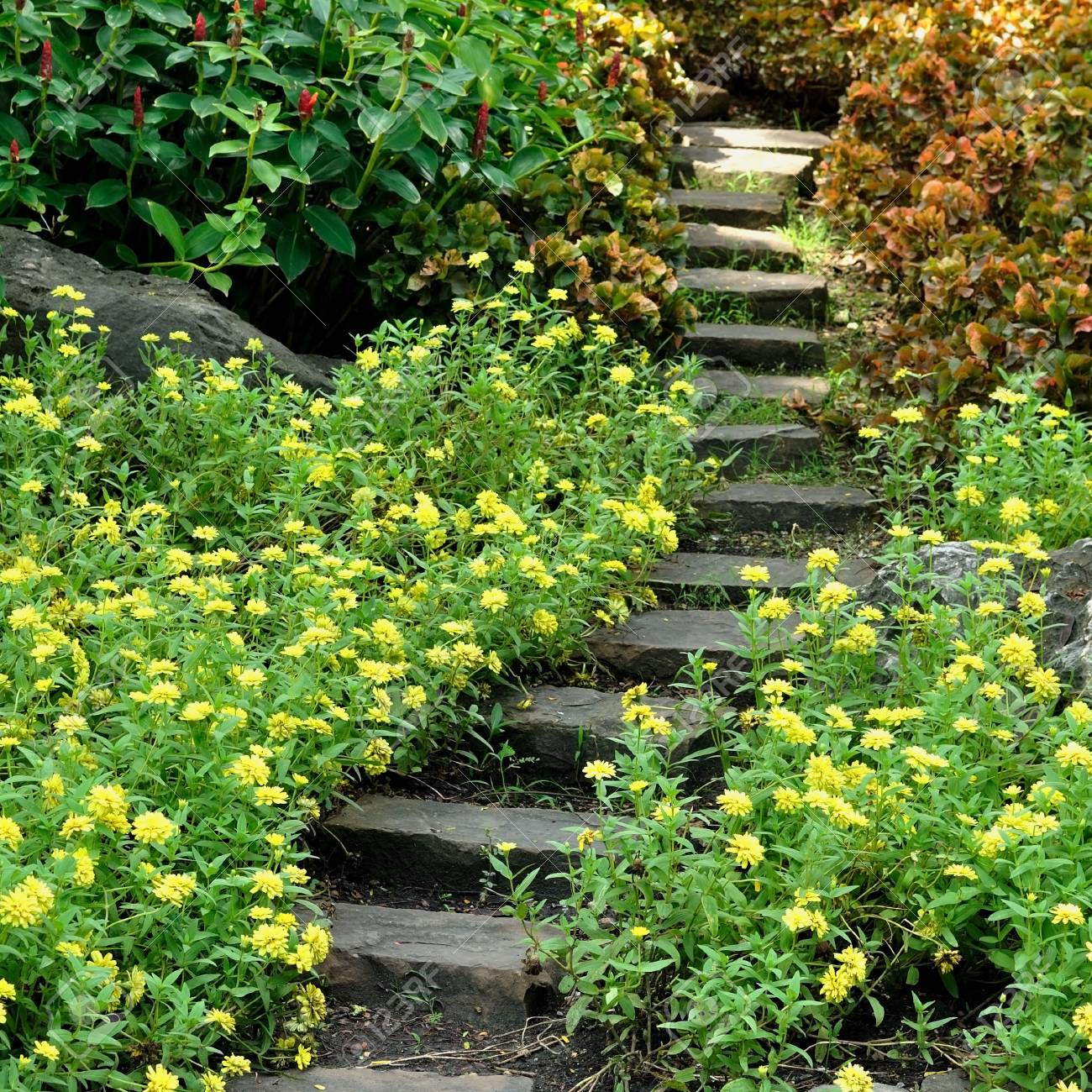 67747844-rock-stair-in-flower-garden.jpg