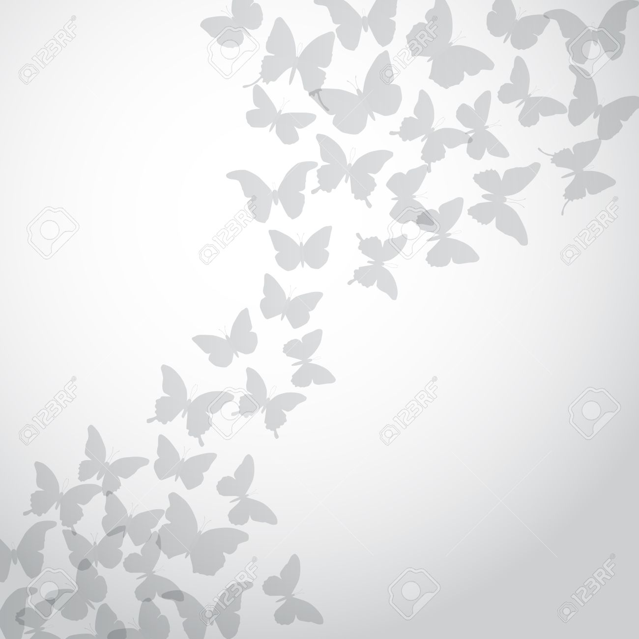 Abstract Gray Butterfly Background On White Background. Vector Illustration Royalty Free SVG, Cliparts, Vectors, And Stock Illustration. Image 42465300. Abstract Gray Butterfly Background On White Background. Vector Illustration Royalty Free SVG, Cliparts, Vectors, And Stock Illustration. Image 42465300.