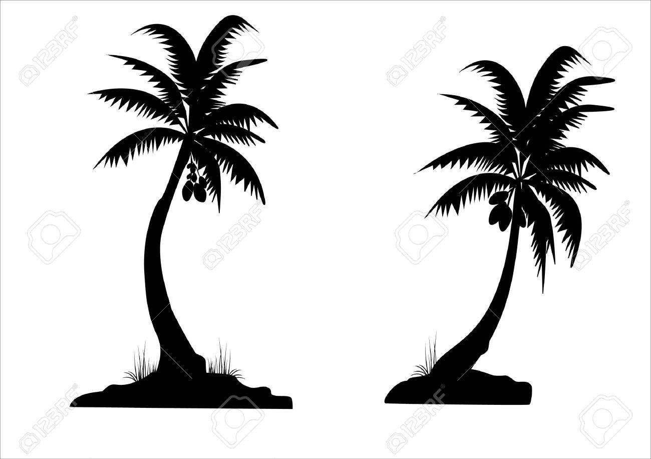 Fashion style Trees palm black and white photo for girls Fashion style Trees palm black and white photo for lady