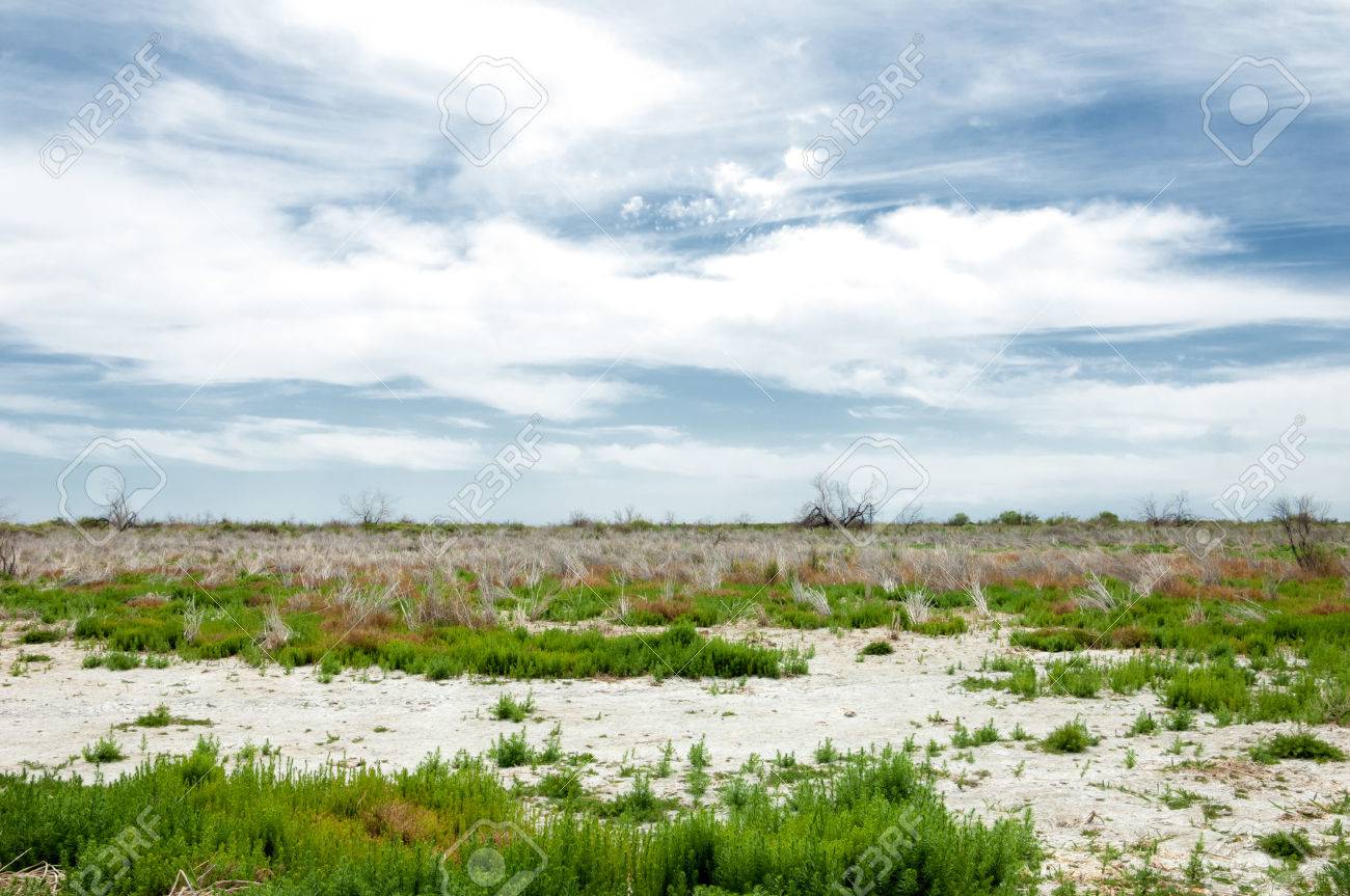 голая солевая Степные Засоленные Почвы. Солевой Соль В Соли. Степь Прерии Степных Вельд.  Солевые Почвы Пустыни, Соленые Озера ,. Безжизненной Выжженная Земля. Голая  Степь Казахстана Фотография, картинки, изображения и сток-фотография без  роялти. Image 39678392