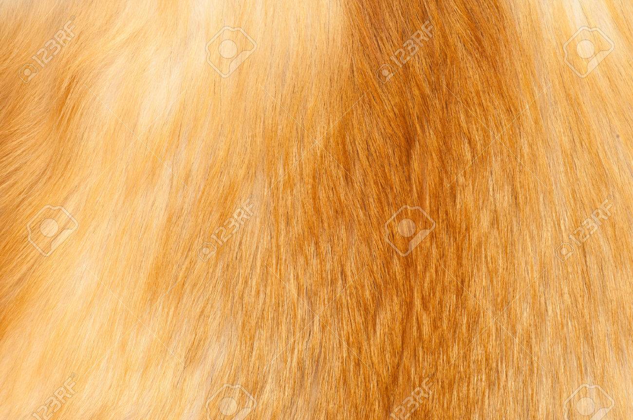 textures red fox fur red fox shaggy fur texture cloth abstract red textures