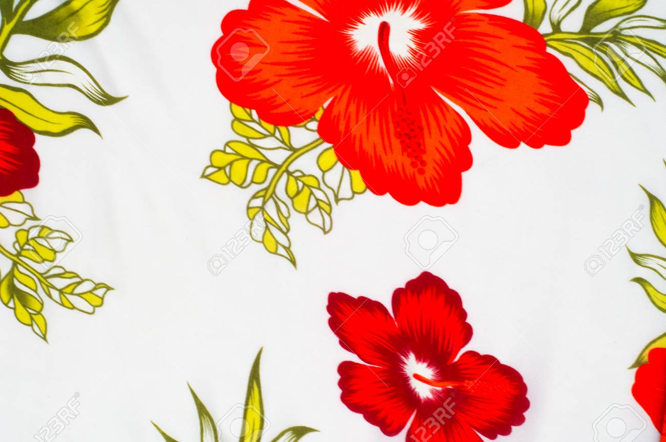 綿生地のテクスチャ背景は白地に赤い花を描いた 熱帯 亜熱帯植物の種子を囲む柔らかい白い繊維状物質 の写真素材 画像素材 Image