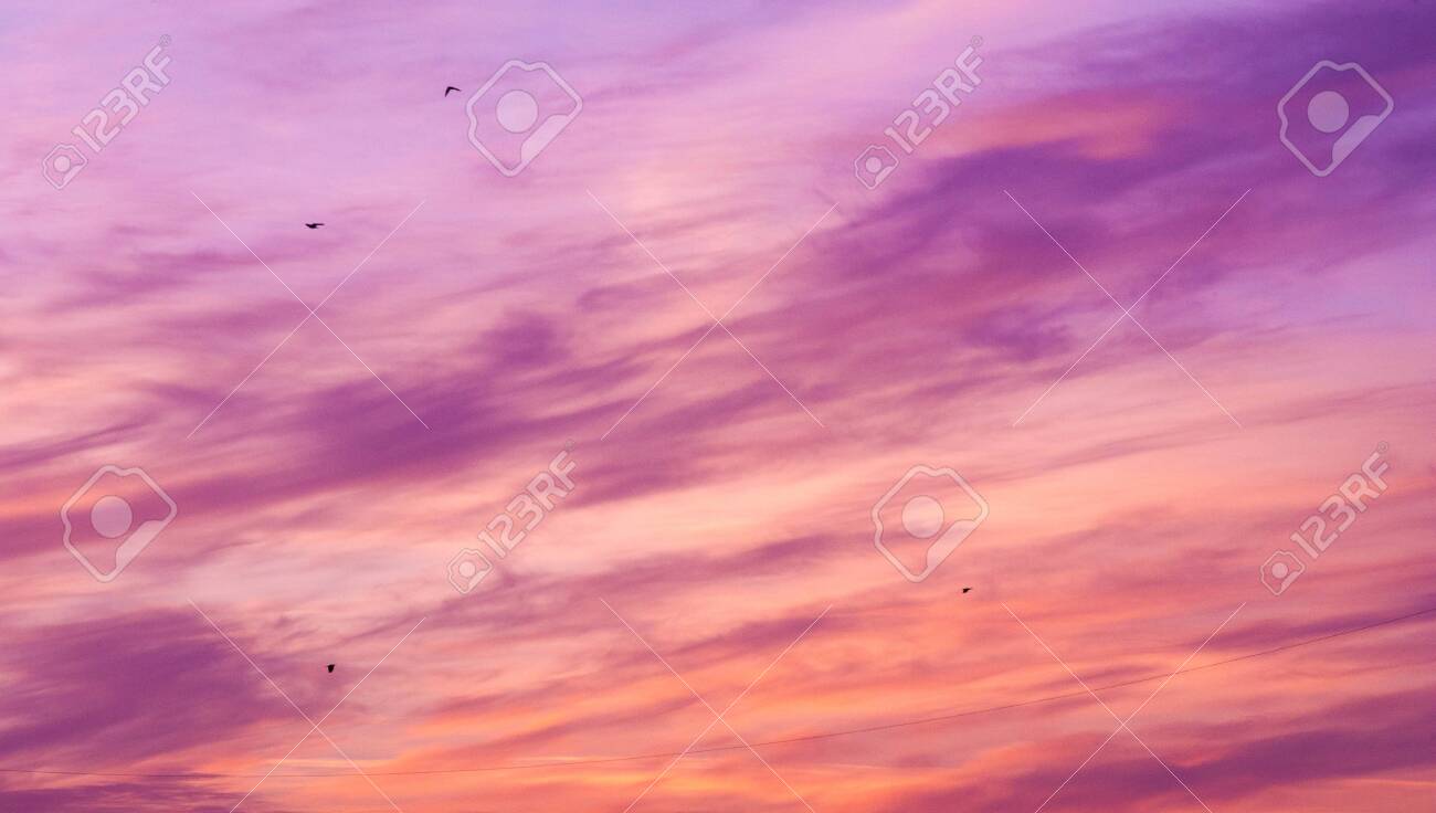 Texture Pattern Clouds At Sunrise Sunset The Apparent Mass Of Stock Photo Picture And Royalty Free Image Image