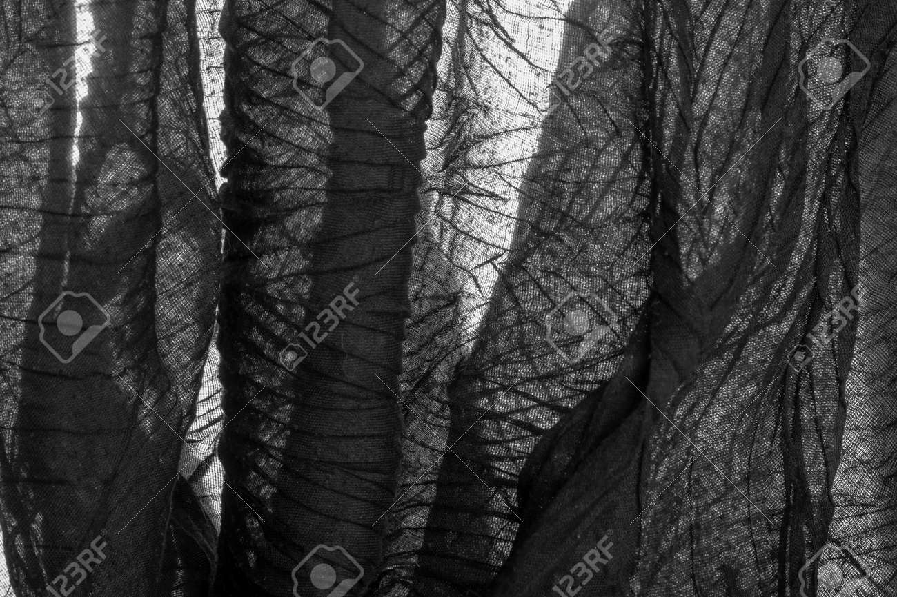 etiam-dictum-ipsum-a-felis