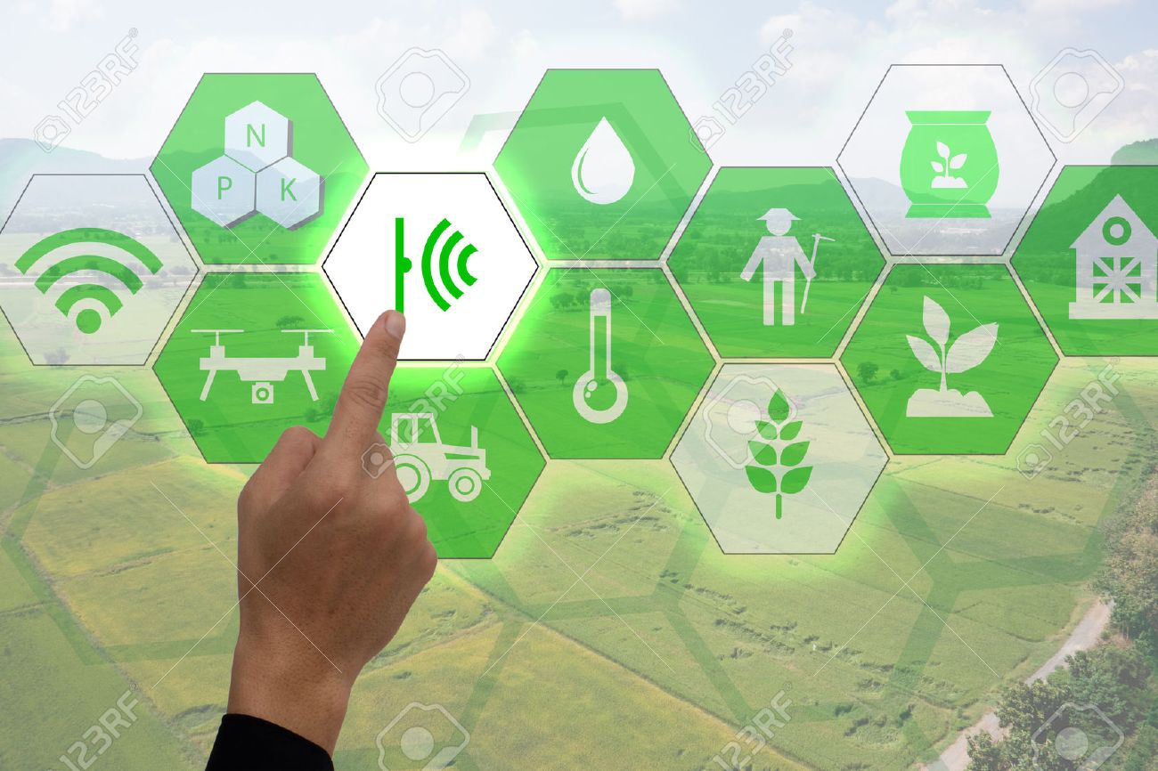 Internet of things(agriculture concept),smart farming,industrial agriculture.Farmer point hand to use augmented reality technology to control ,monitor and mangement in the field - 70854393 Internet of things(agriculture concept),smart farming,industrial agriculture.Farmer point hand to use augmented reality technology to control ,monitor and mangement in the field - 70854393