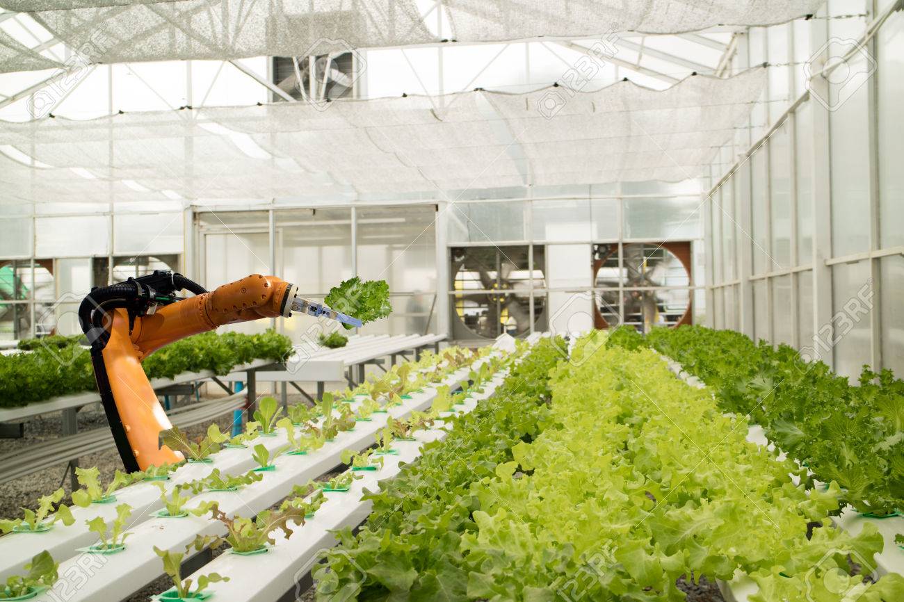 smart robotic in agriculture futuristic concept, robot farmers (automation) must be programmed to work in the vertical or indoor farm for increase efficiency, growing a seed, harvesting, reduce time - 87395176 smart robotic in agriculture futuristic concept, robot farmers (automation) must be programmed to work in the vertical or indoor farm for increase efficiency, growing a seed, harvesting, reduce time - 87395176