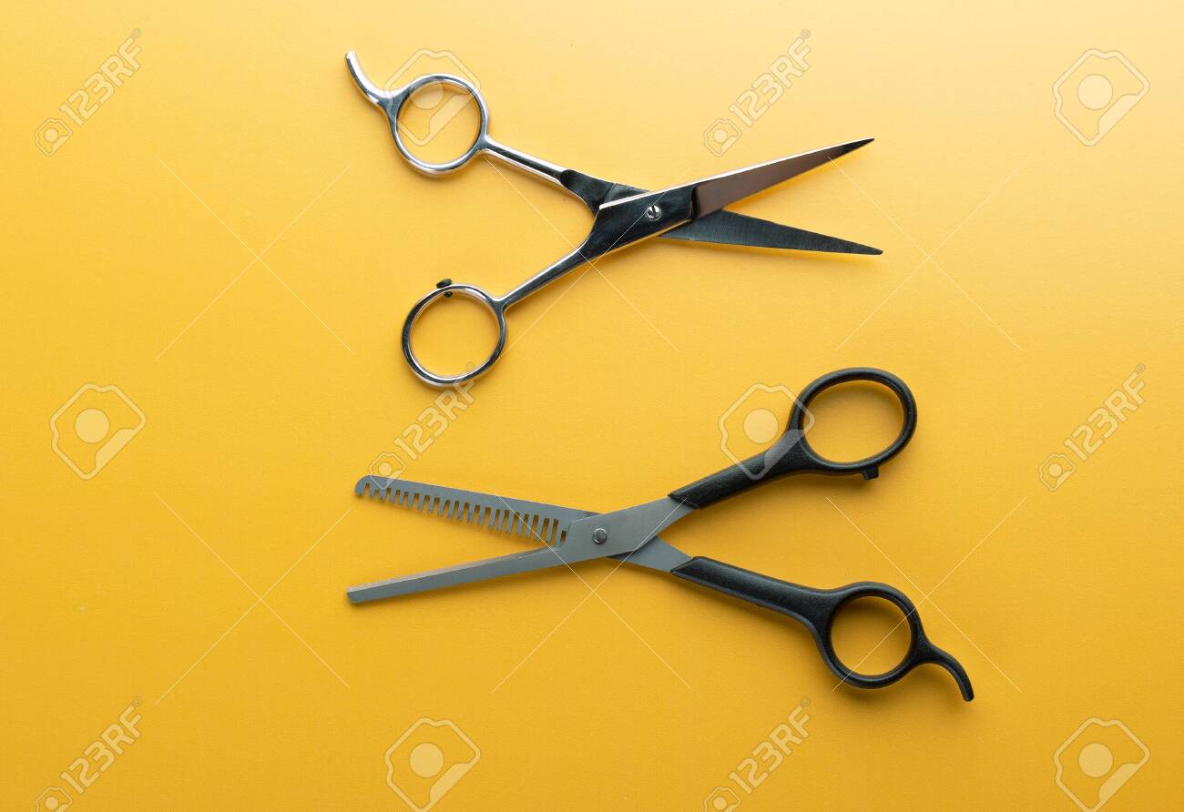 professional salon shears