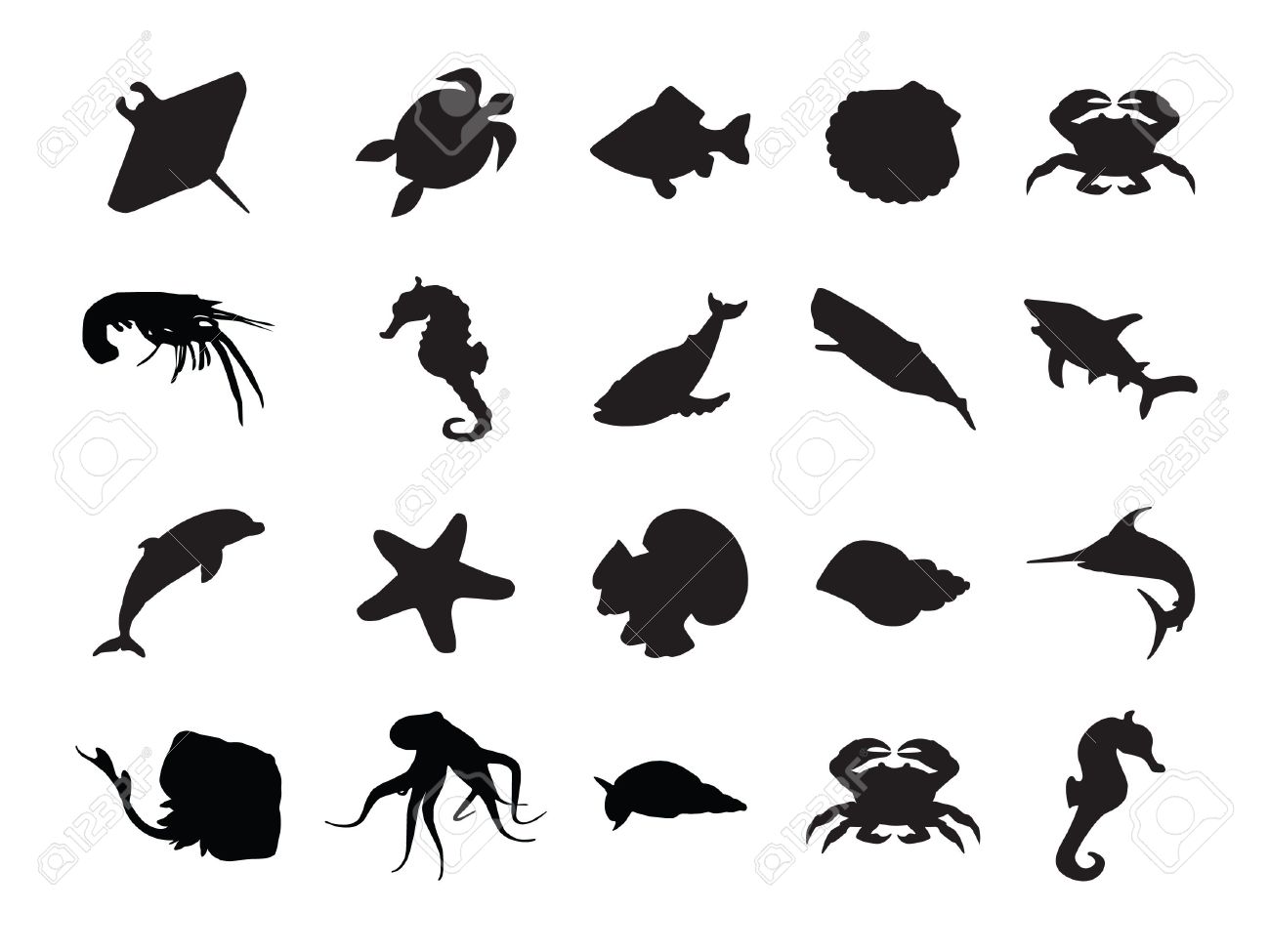 Sea Animals Royalty Free SVG, Cliparts, Vectors, And Stock Illustration. Image 23066474. Sea Animals Royalty Free SVG, Cliparts, Vectors, And Stock Illustration. Image 23066474.