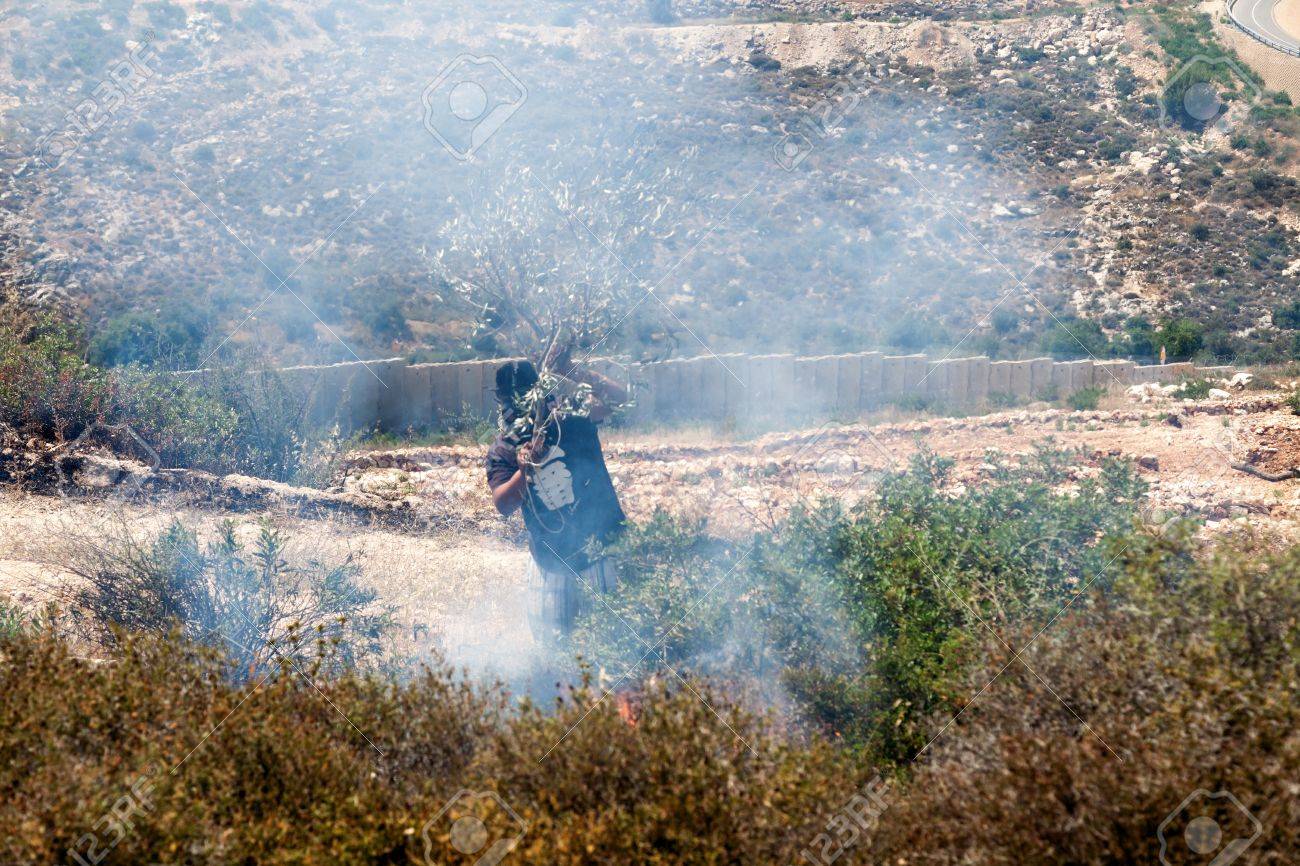 Bil In パレスチナ 13 年 5 月 17 日 Occ に抗議ではイスラエル軍と紛争の真っ只中に分離の壁によるフィールドのガスマスク キャニスター着陸によって引き起こされる火を消すしようとする防毒マスクを身に着けているパレスチナ人 の写真素材 画像素材 Image Bil In パレスチナ 13 年 5 月 17 日 Occ に抗議ではイスラエル軍と紛争の真っ只中に分離の壁によるフィールドのガスマスク キャニスター着陸によって引き起こされる火を消すしようとする防毒マスクを身に着けているパレスチナ人 の写真素材 画像素材 Image