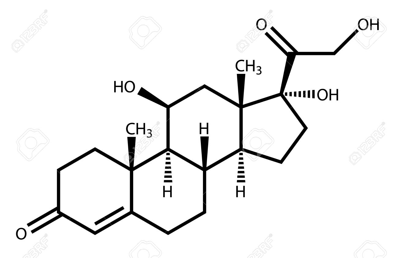 白い背景上に描画コルチゾール構造式 のイラスト素材 ベクタ Image