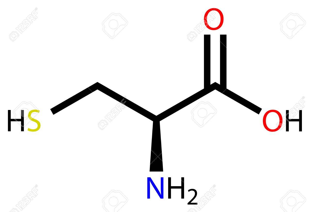 アミノ酸システイン構造式のイラスト素材 ベクタ Image