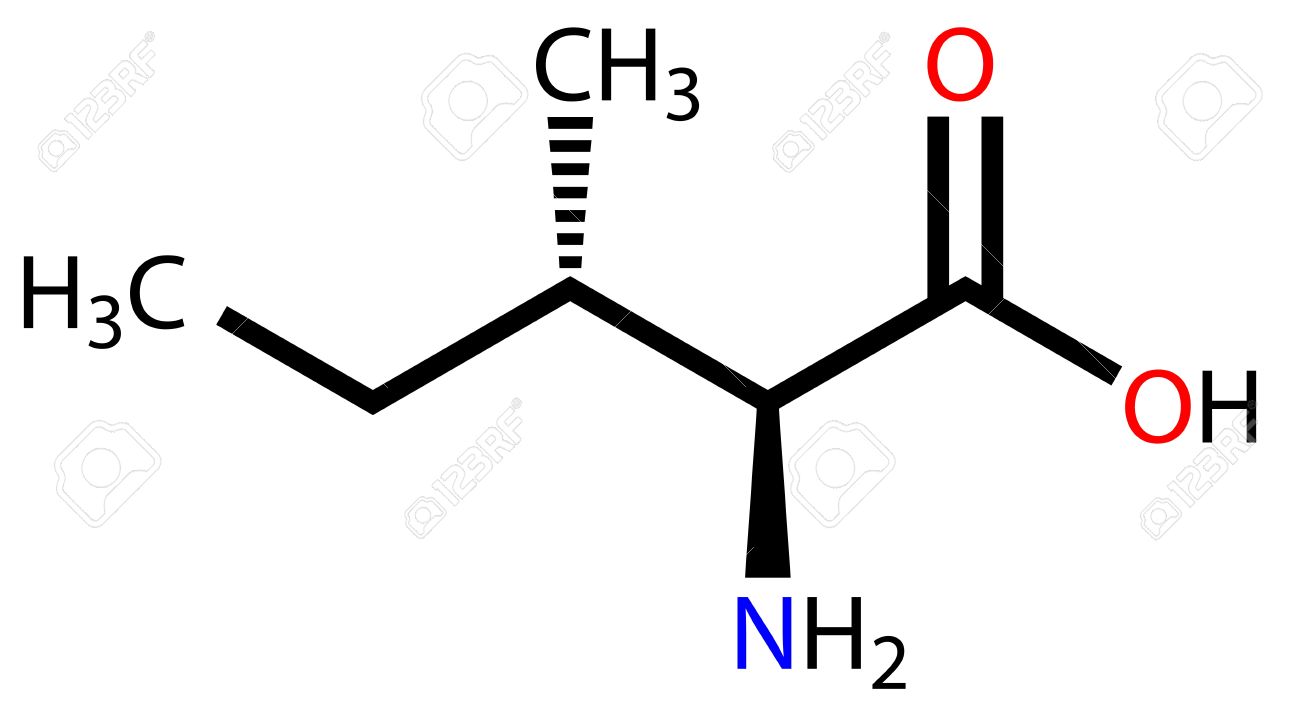 必須アミノ酸イソロイシン構造式のイラスト素材 ベクタ Image