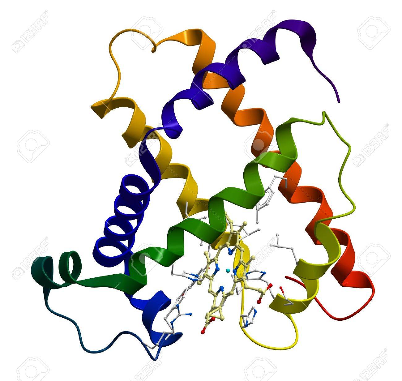myoglobin