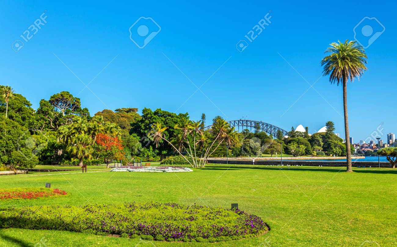 シドニー王立植物園ガーデン オーストラリア ニューサウス ウェールズ州 の写真素材 画像素材 Image シドニー王立植物園ガーデン オーストラリア ニューサウス ウェールズ州 の写真素材 画像素材 Image